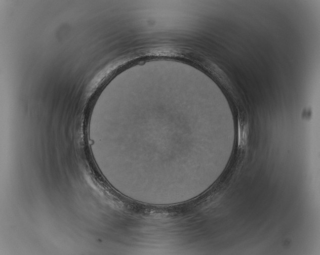 X0000114420531200911131453