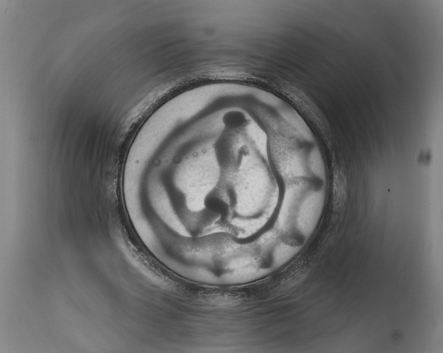 X0000114420533200911131453