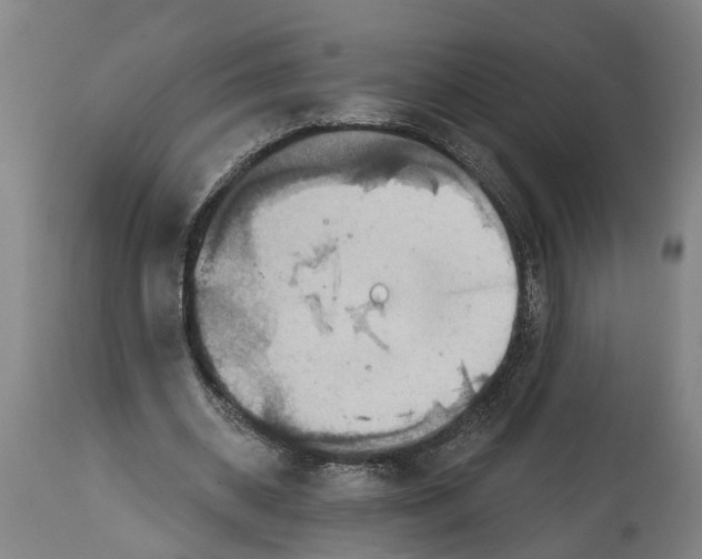 X0000114420534200911131453