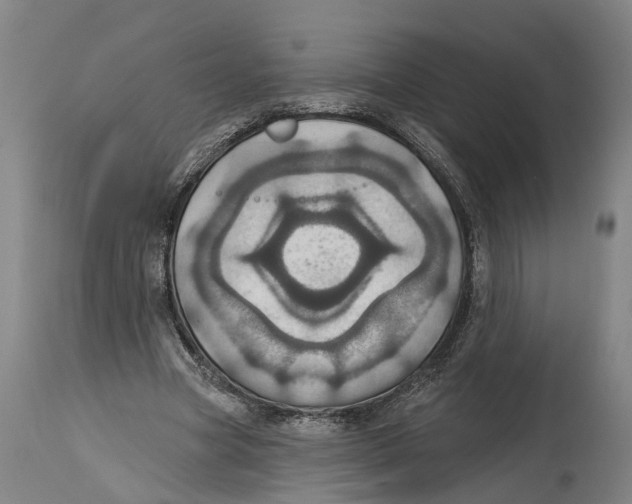 X0000114420537200911131453