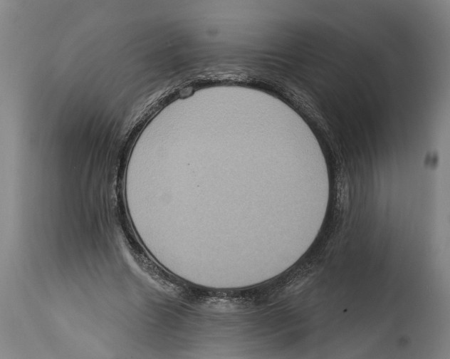 X0000114420538200911131453