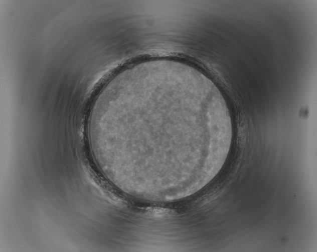 X0000114420539200911131453