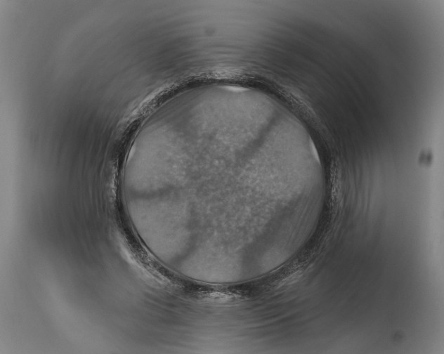 X0000114420542200911131453