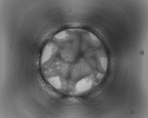 X0000114420545200911131453