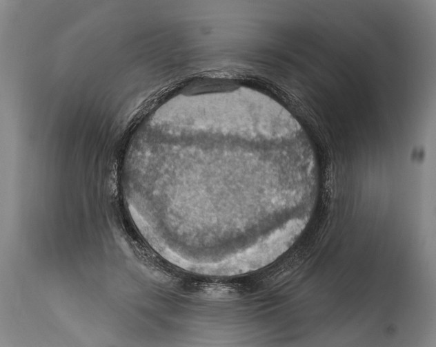 X0000114420547200911131453