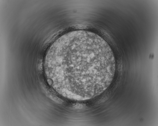 X0000114420549200911131453