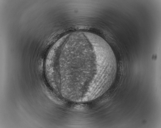 X0000114420550200911131453