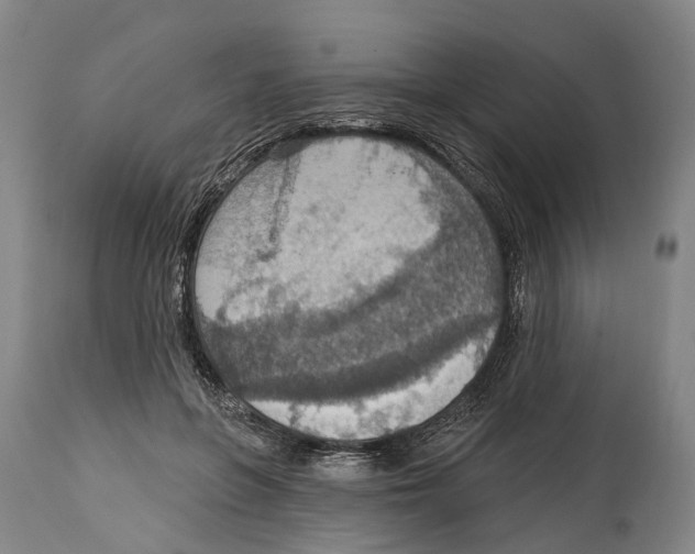 X0000114420551200911131453