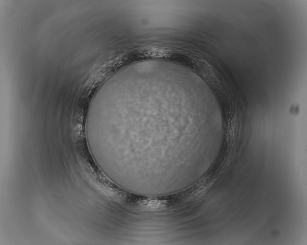 X0000114420553200911131453