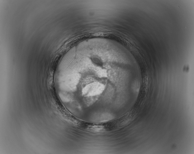 X0000114420554200911131453