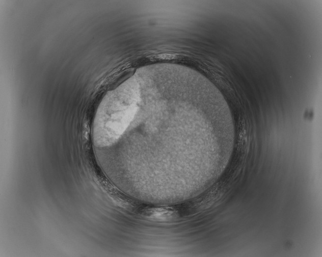 X0000114420555200911131453