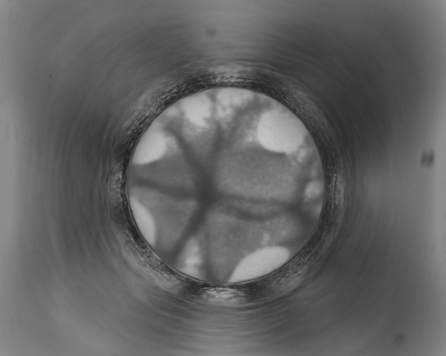 X0000114420557200911131453