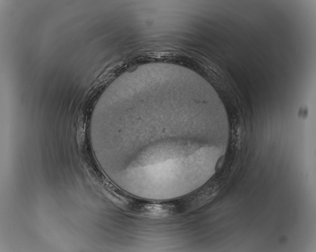 X0000114420558200911131453