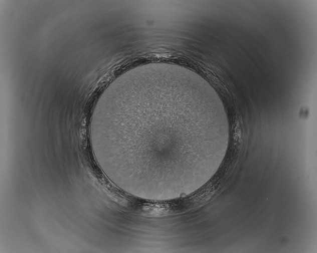 X0000114420559200911131453