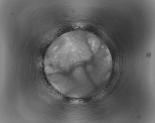 X0000114420561200911131453