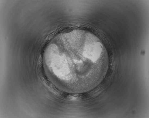 X0000114420563200911131453