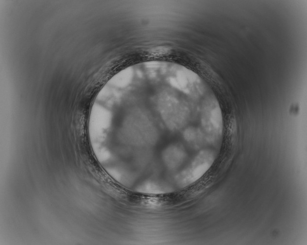 X0000114420565200911131453