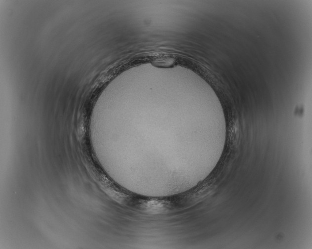 X0000114420566200911131453