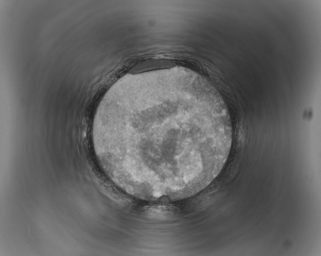 X0000114420567200911131453