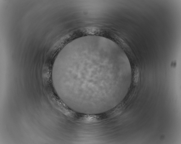 X0000114420569200911131453