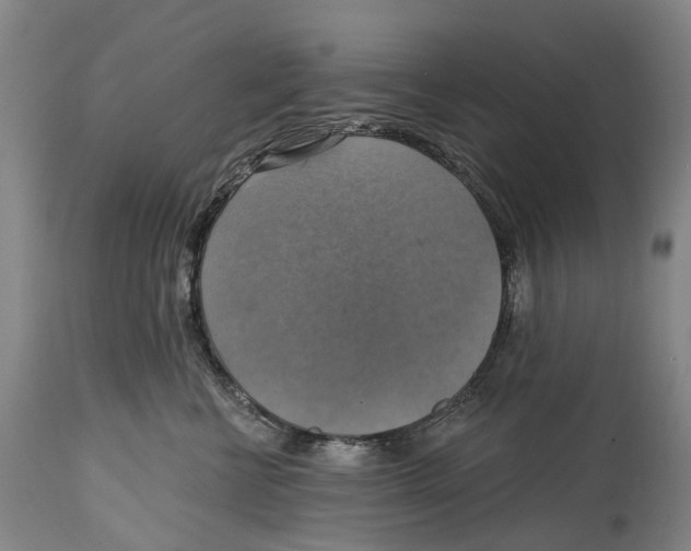 X0000114420570200911131453