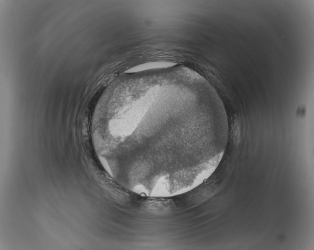 X0000114420571200911131453