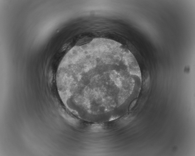 X0000114420574200911131453