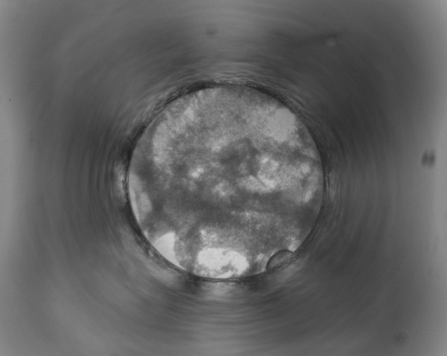 X0000114420575200911131453