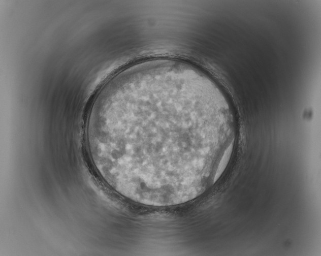 X0000114420578200911131452