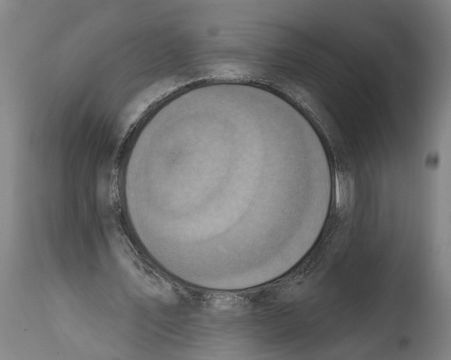 X0000114420579200911131452