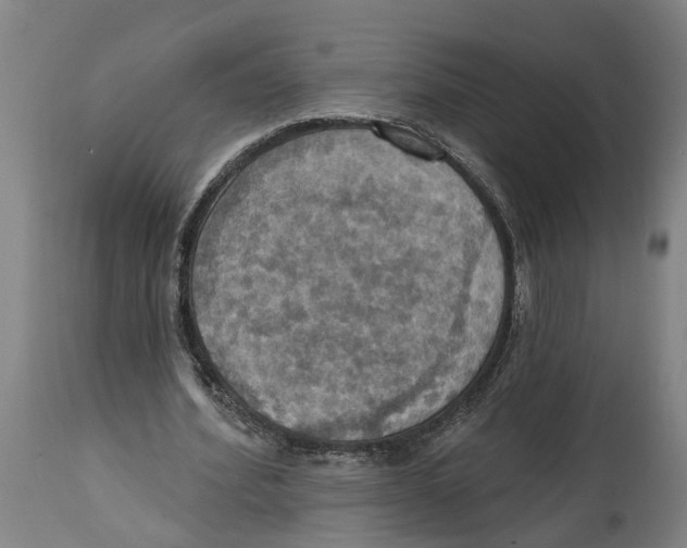 X0000114420580200911131452