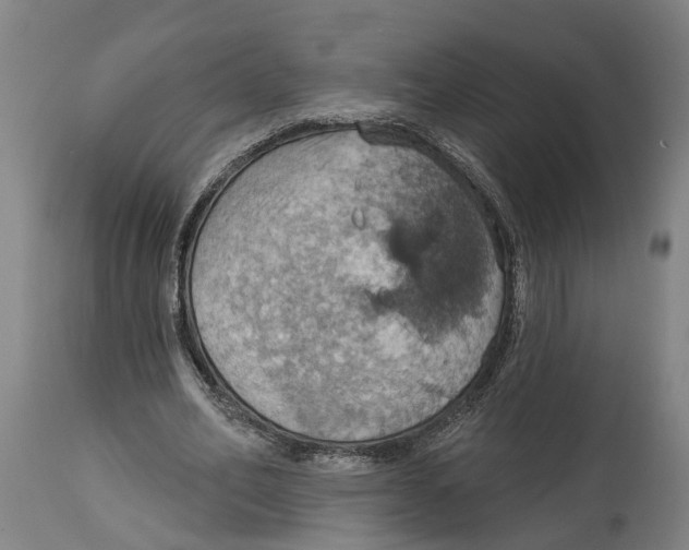 X0000114420582200911131452