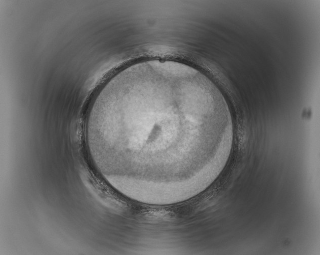 X0000114420583200911131452