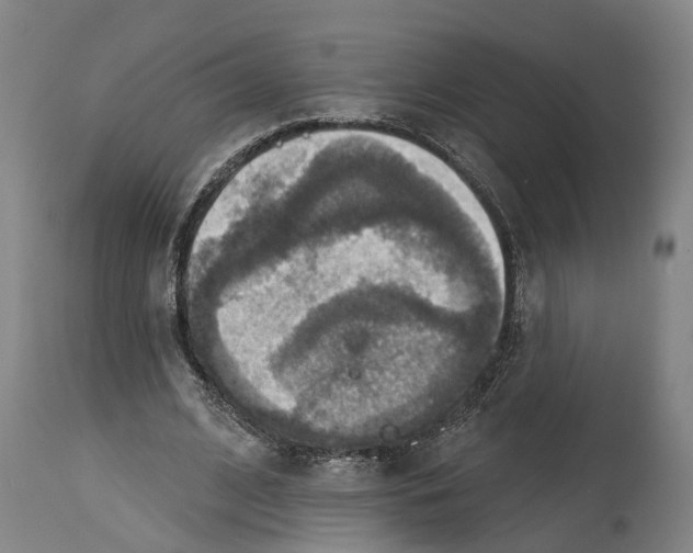 X0000114420584200911131452