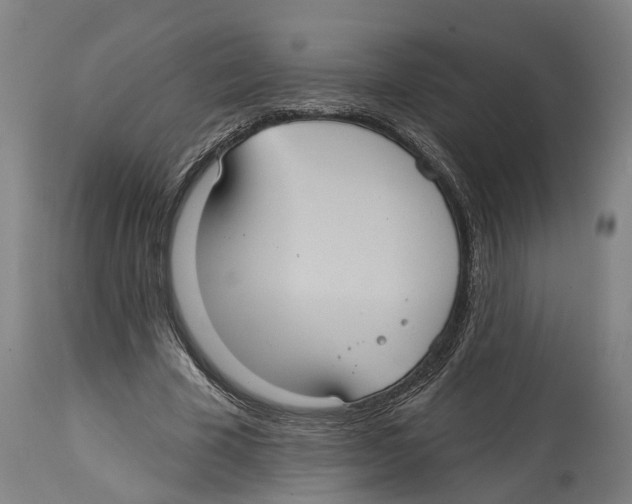 X0000114420585200911131452