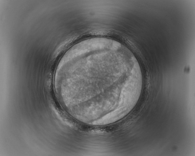 X0000114420586200911131452