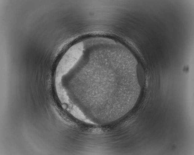 X0000114420588200911131452