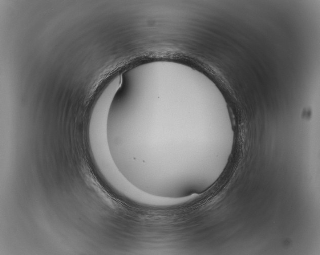 X0000114420589200911131452