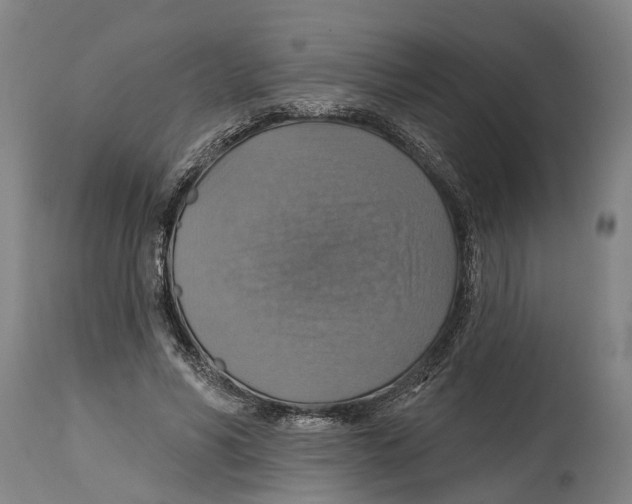 X0000114420590200911131452