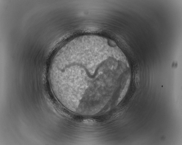 X0000114420591200911131452