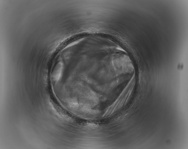 X0000114420592200911131452