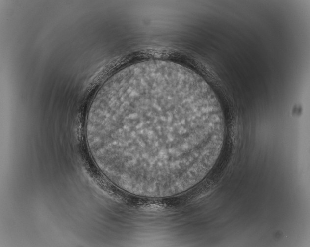 X0000114420594200911131452