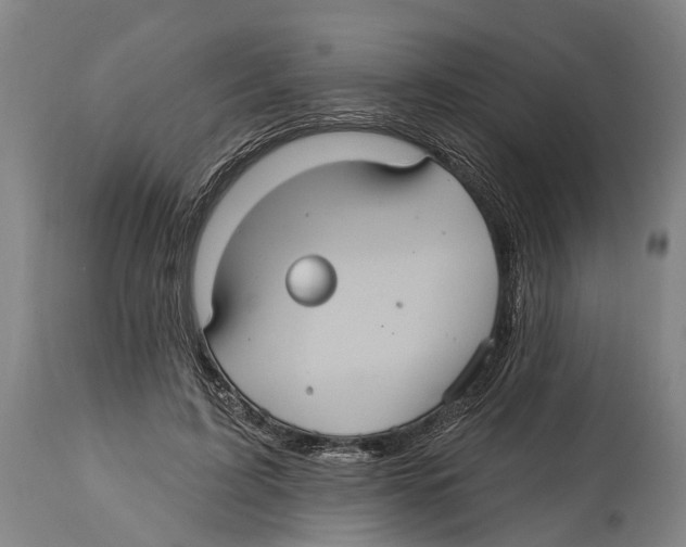 X0000114420595200911131452