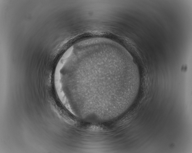 X0000114420596200911131452