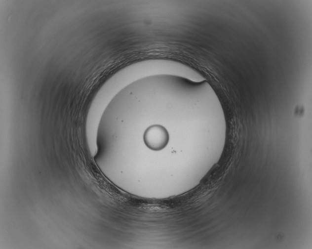 X0000114420597200911131452