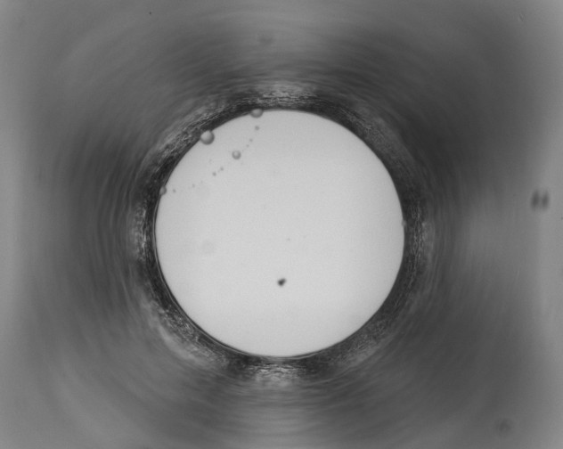 X0000114420599200911131452