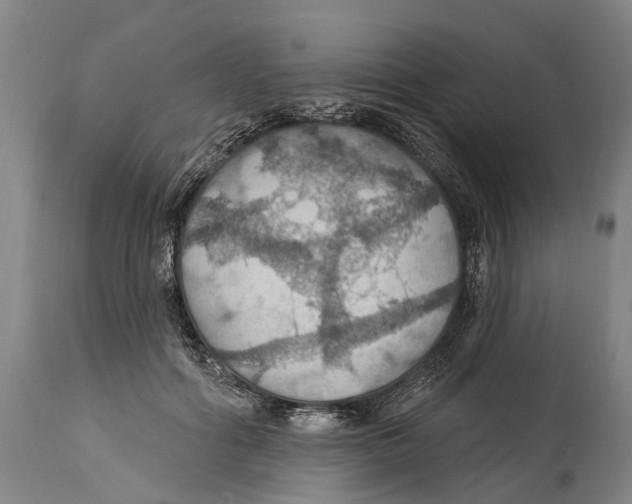 X0000114420602200911131452