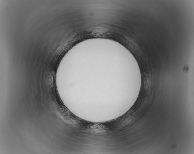 X0000114420603200911131452