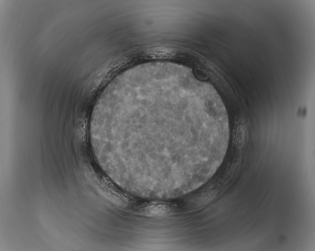 X0000114420604200911131452