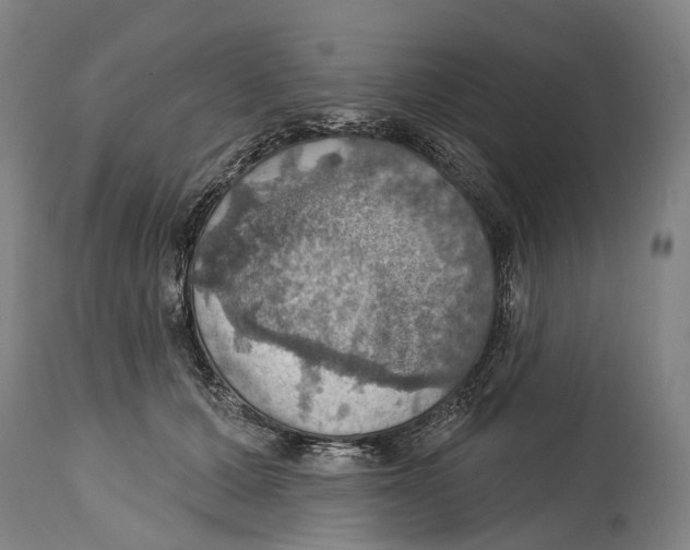 X0000114420607200911131452